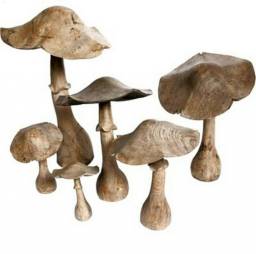 Champignon en bois / Apercu n 1