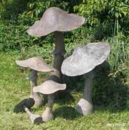 Champignon en bois / Apercu n 5